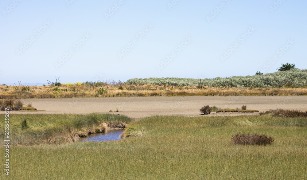 Fototapeta premium Landscape view of the Manawatu Estuary wetlands and vegetation