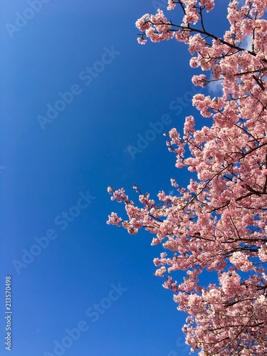 6052