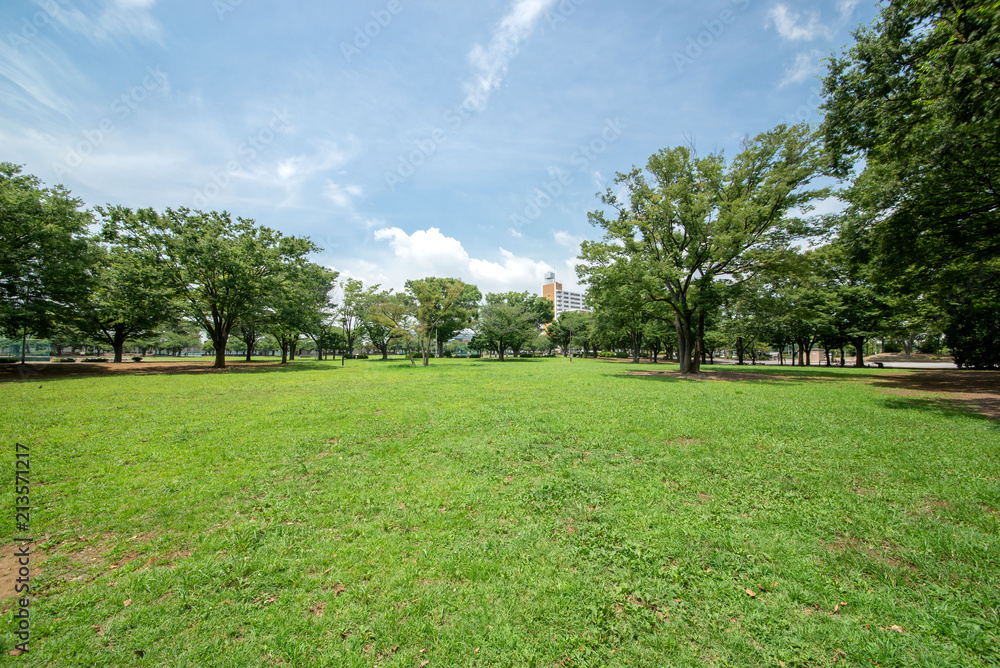 Fototapeta premium 新小岩公園