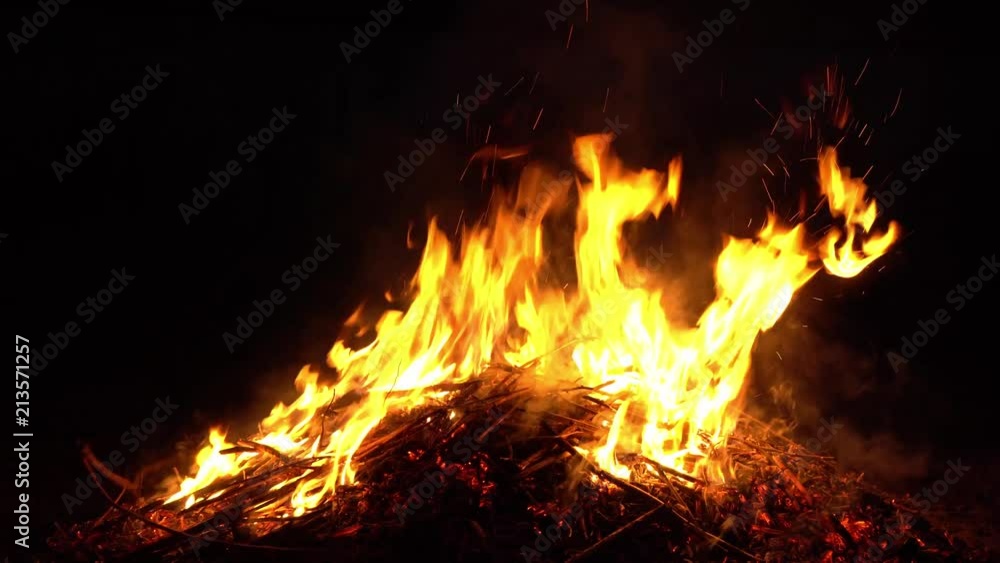 burning fire in nature. bright flames. burning fire in nature. bright flames.