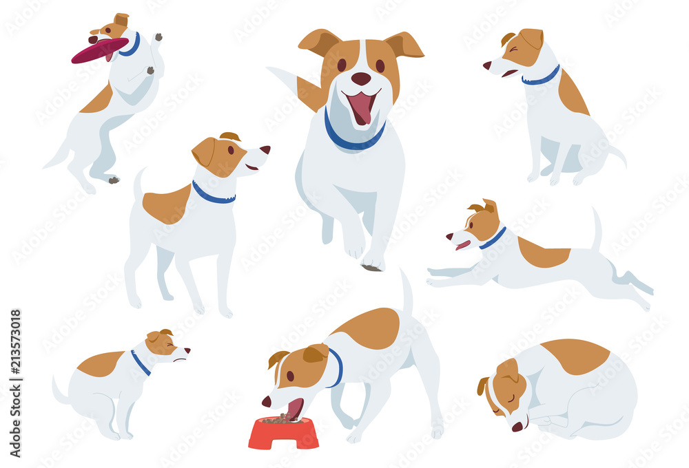 犬 ジャックラッセルテリア Stock イラスト Adobe Stock