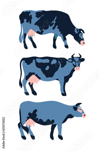 Set of dairy cows spotted. Agriculture, farming, village life. Pet. Vector illustration.