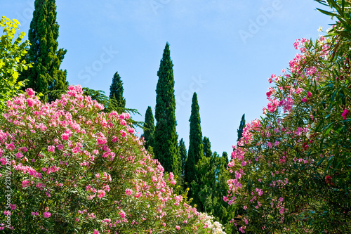 The colorful villages on the Garda Lake