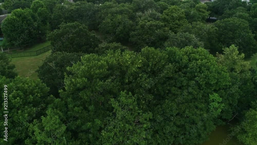 Shots from the park on a sunny summer day.