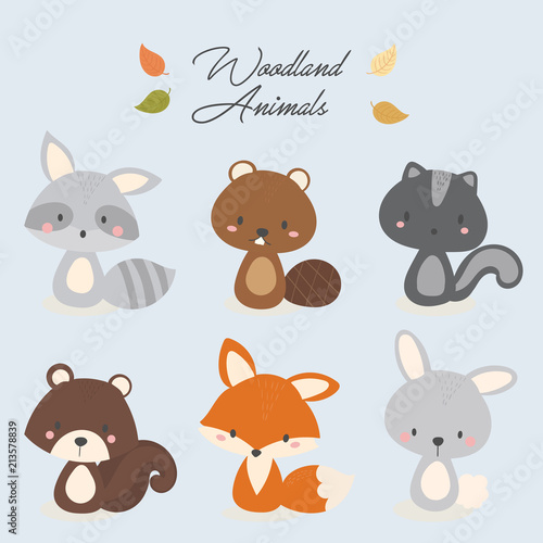 Set of cute woodland animal. Raccoon, beaver, skunk, squirrel, fox, rabbit.