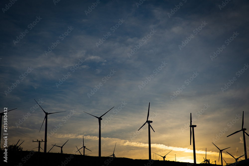 Obraz premium Line up of Wind Mills