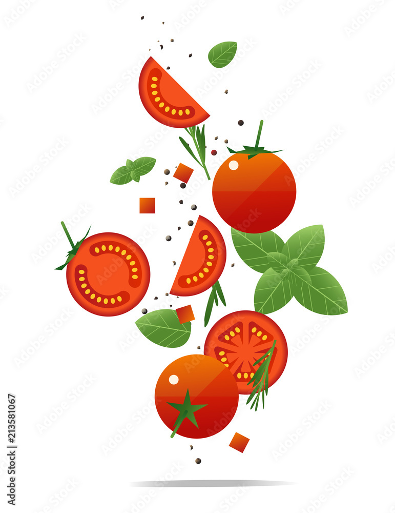 Fototapeta Flying fresh tomatoes and spices concept , healthy food background , vector, illustration