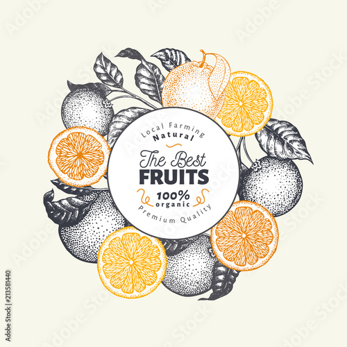 Orange fruit design template. Hand drawn vector fruit illustration. Engraved style vintage citrus background.