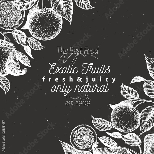 Orange fruit design template. Hand drawn vector fruit illustration on chalk board. Engraved style vintage citrus background.