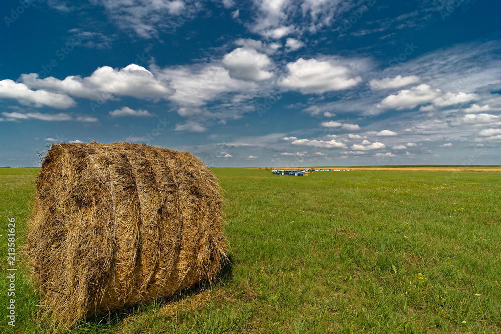 Large round bale of straw in the field