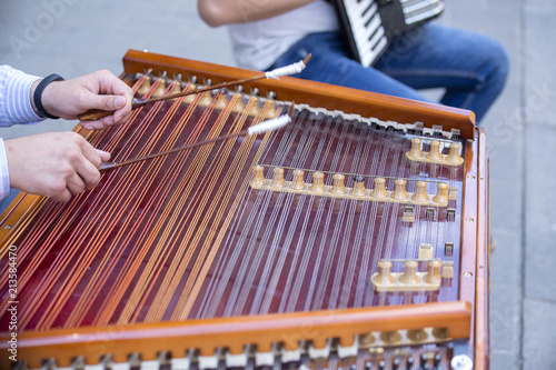 Man hands playing on harp, the Ukrainian national musical instrument, Ukraine