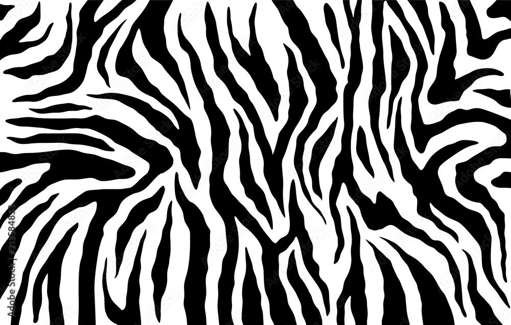 Zebra skin, stripes pattern. Animal print. Black and white background. Vector texture. Zebra skin, stripes pattern. Animal print. Black and white background. Vector texture.