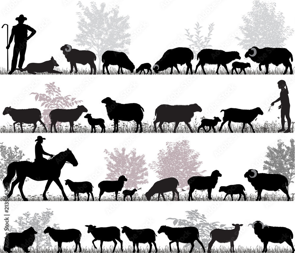 Obraz premium Sylwetki owiec, baranów i jagniąt na zewnątrz
