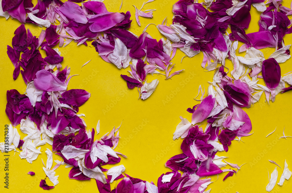 Peony flower petals heart shape form on yellow background.