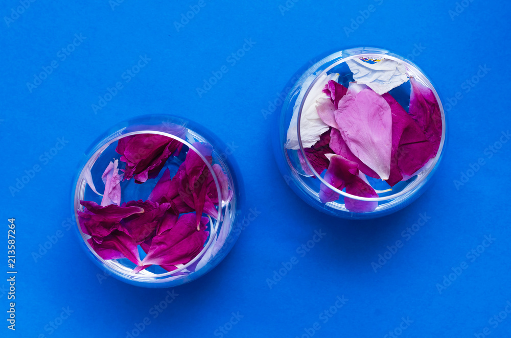 Glass with water and peony flower petals on blue background. Glass with water and peony flower petals on blue background.