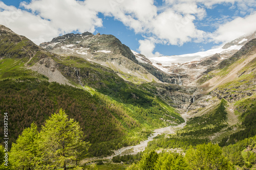 Bernina  Alp Gr  m  Gletscher  Pal   Gletscher  Alpen  Piz Canton  Piz Varuna  Berninapass  Wanderweg  Lagh da Pal    L  rchenwald  Graub  nden  Sommer  Schweiz