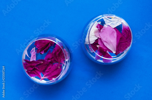 Glass with water and peony flower petals on blue background.