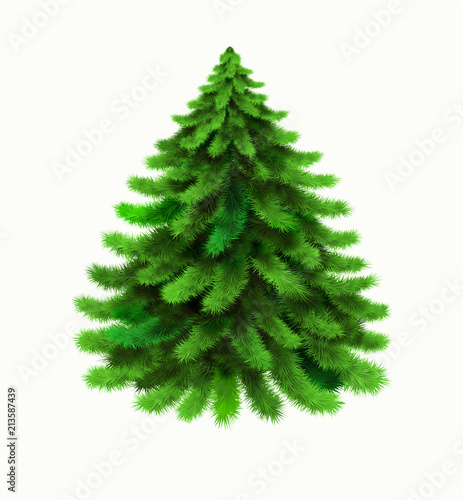 Christmas tree vector isolated on white background. Winter, xmas design element. Realistic vector icon of pine, coniferous tree, evergreen tree, spruce, fir, cedar. Christmas, New Year symbol. EPS10