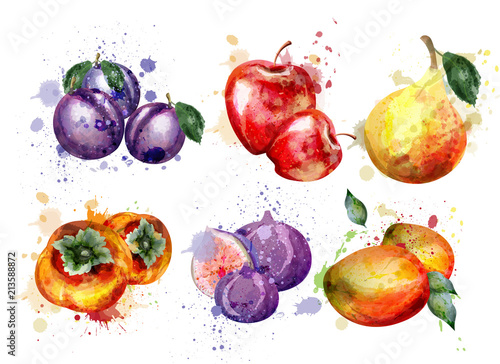 Watercolor fruits set Vector. Apple, plum, pear summer fruit compositions