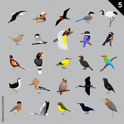 Various Birds Cartoon Vector Illustration 5