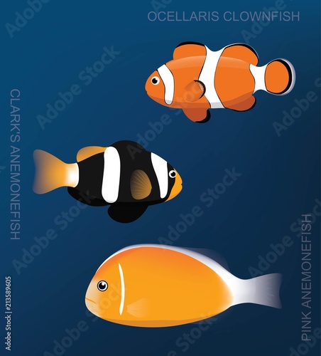 Reef Anemonefish Set Cartoon Vector Illustration