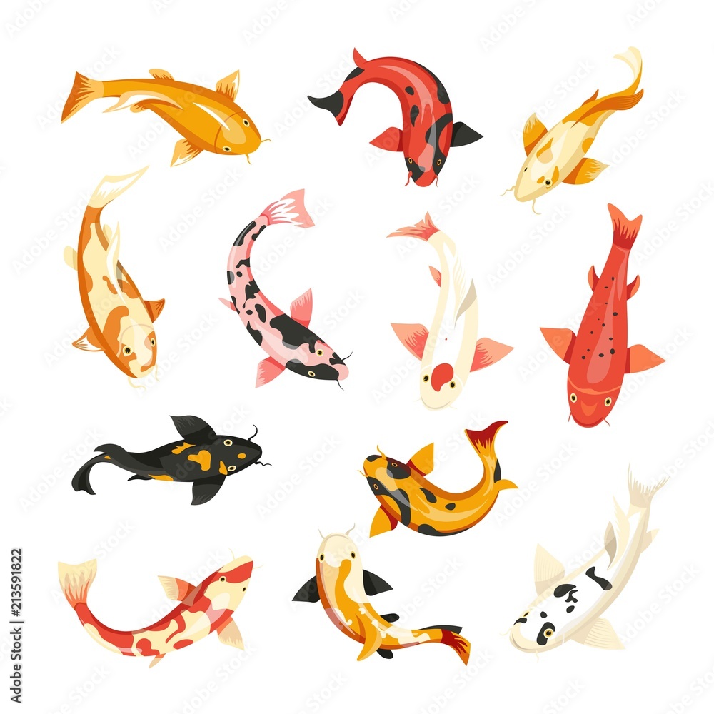 Carp fish vector icons top view Carp fish vector icons top view