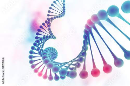 DNA structure on science background photo