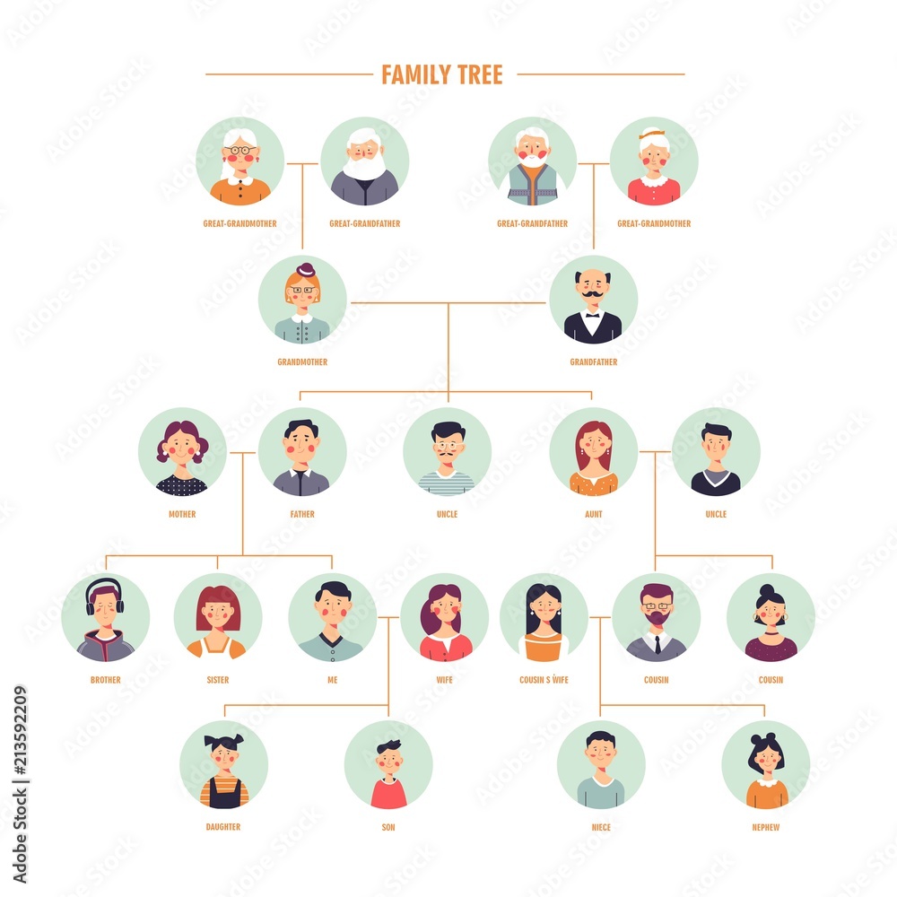 Vector family tree genealogy branches template