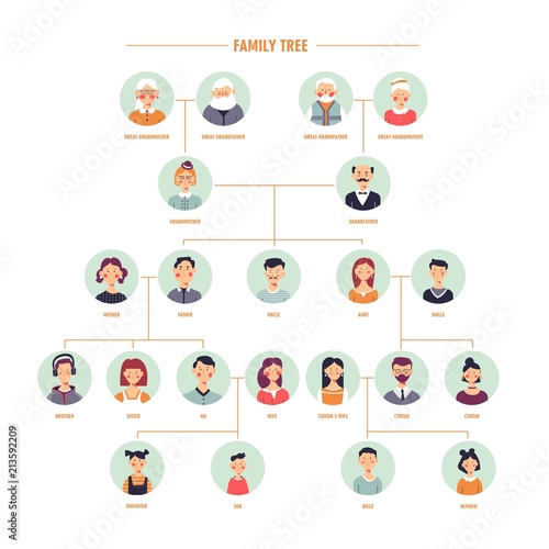 Vector family tree genealogy branches template