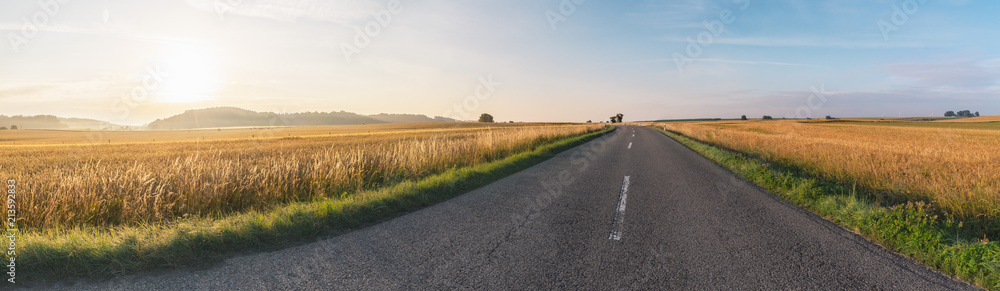 Fototapeta premium Road crossing agricultural fields at sunrise