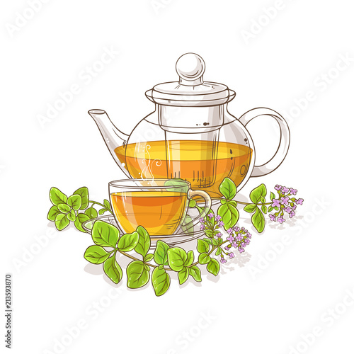 oregano tea illustration