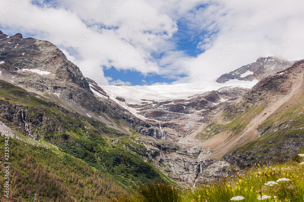 Bernina, Alp Grüm, Gletscher, Palü Gletscher, Palü, Alpen, Graubünden, Berninapass, Wanderweg, Bergsee, Bergblumen, Bergwiese, Sommer, Schweiz