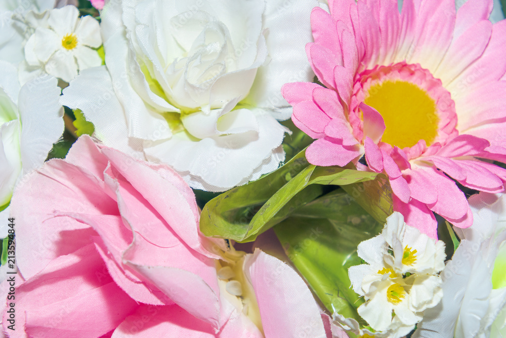 Close up group of white and pink flowers and leaves in colorful tone.