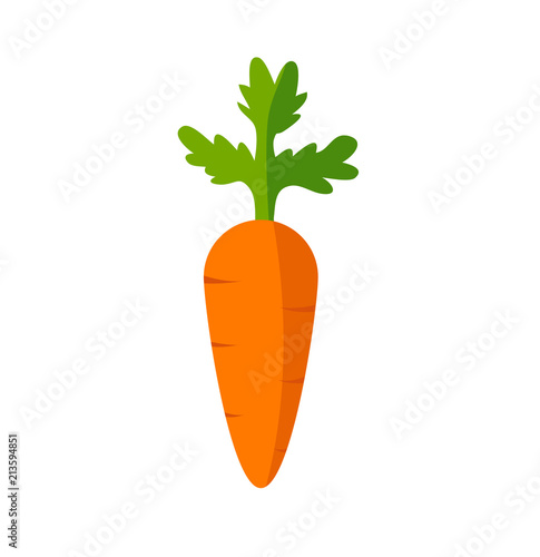 Carrot icon vector illustration on white