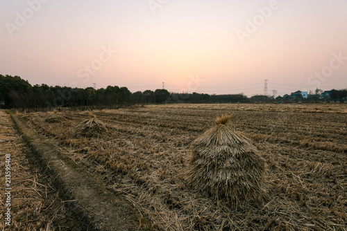 Rural landscape with golden straw bales