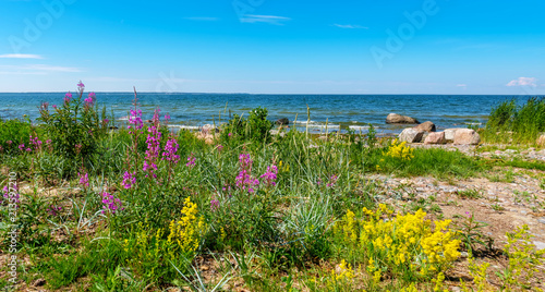 Fototapeta Naklejka Na Ścianę i Meble -  Baltic Sea coastline. Estonia, EU