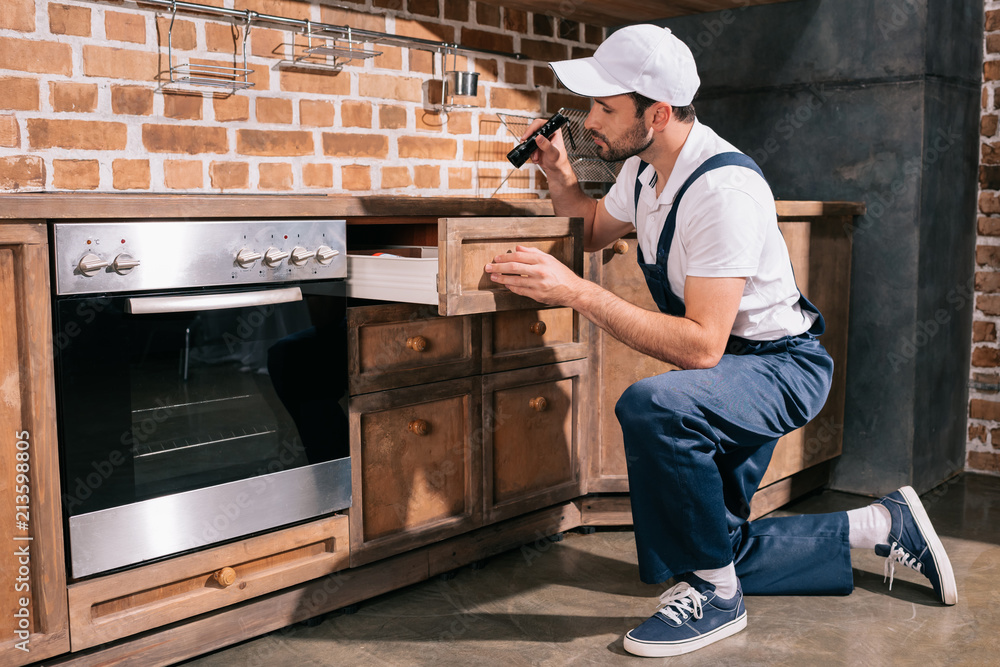 pest control worker examining cabinet in kitchen with flashlight pest control worker examining cabinet in kitchen with flashlight