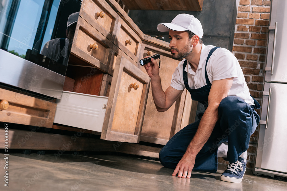 pest control worker examining kitchen with flashlight pest control worker examining kitchen with flashlight