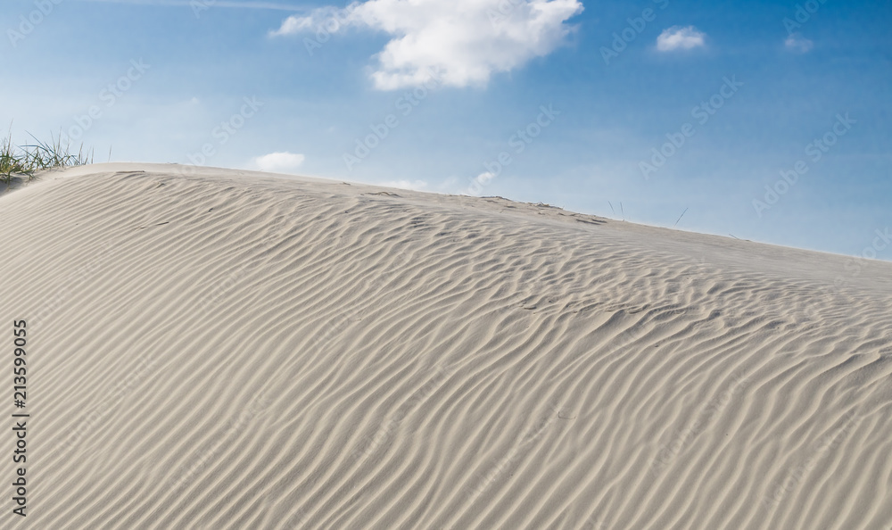 Dunes on the beach Dunes on the beach