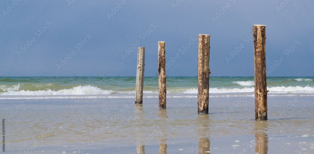 wooden pillars on the beach