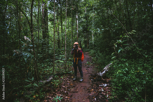 Woman asian travel nature. Travel relax. Walk study the path Nature in the forest