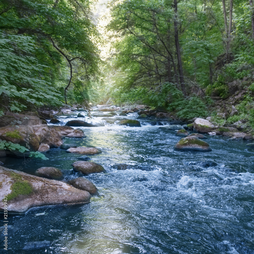 River Water Currents