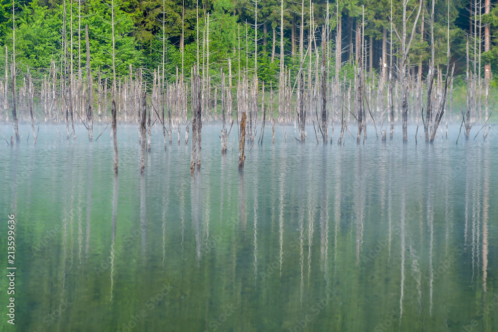Strains reflection. Lake Cuejdel. Piatra Neamt. Romania. Strains reflection. Lake Cuejdel. Piatra Neamt. Romania.