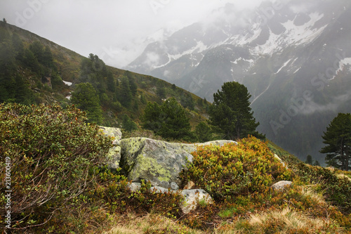 Alps near Mayrhofen. Tirol. Austria