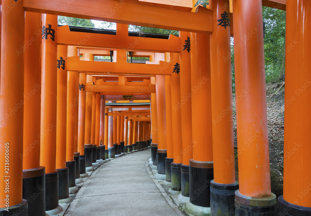 Torii gates in Fushimi Inari Shrine, Kyoto, Japan