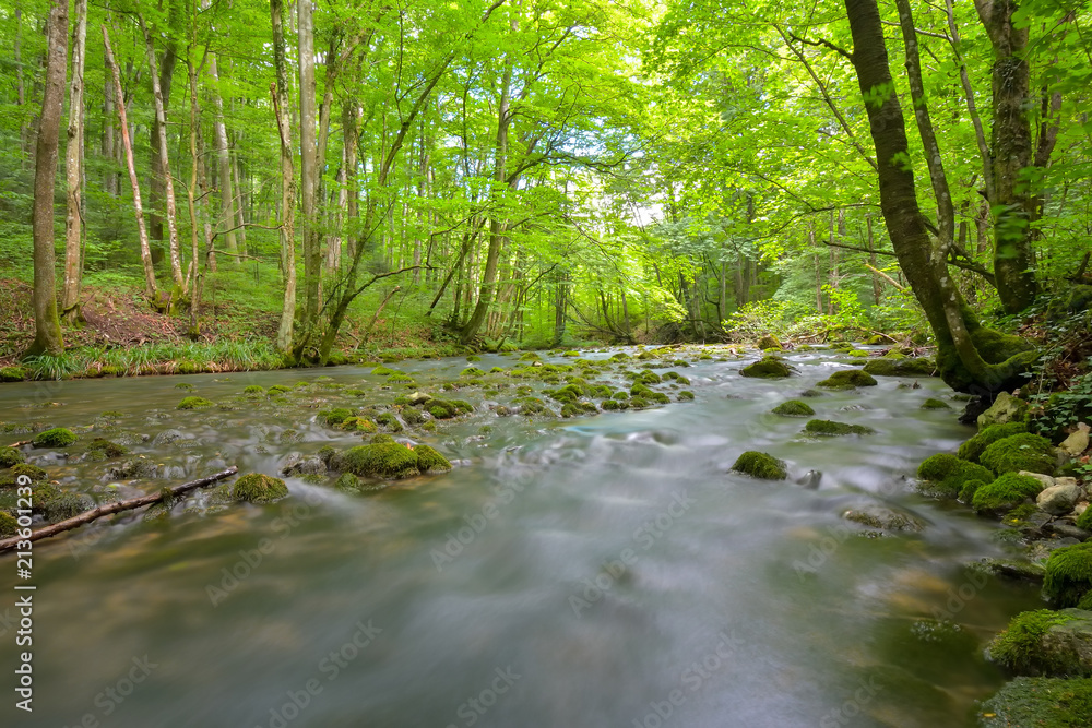 Cheile Nerei - Beusnita. Caras. Romania. Summer in wild Romanian river and forest. Long exposure.
