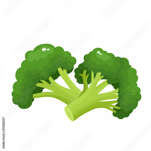 Bright vector collection of colorful broccoli isolated on white.