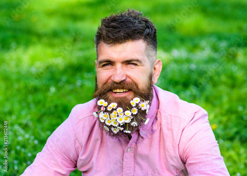 Man with beard on happy face enjoy life in ecologic environment. Eco friendly lifestyle concept. Hipster with daisies looks happy. Bearded man with daisy flowers in beard, grass background, defocused.
