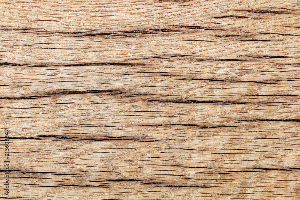 Texture of wood Texture of wood