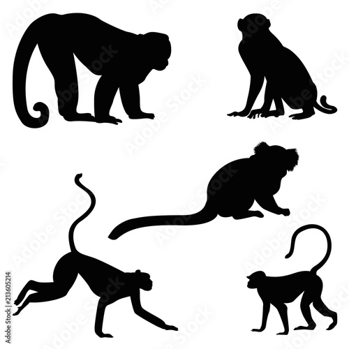 Monkey silhouette set